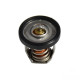 Thermostat Suzuki DF8_2