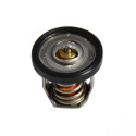 Thermostat Suzuki DF30_2