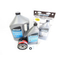 Maintenance kit Mercury 75 CV EFI 1.7L 4T Injection 100h-4