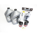 Maintenance kit Mercury 200CV VERADO L6 GEN 2 100h_2