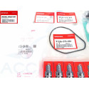 Maintenance Kit Honda BF200-5