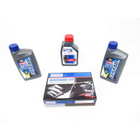 Maintenance kit Suzuki DF9.9B 100h