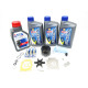 Maintenance kit Suzuki DF40 100h-9