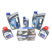 Maintenance kit Suzuki DF175AP 100h