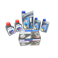 Maintenance kit Suzuki DF100A 100h-1