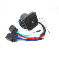 Trim motor Mercury 150CV EFI