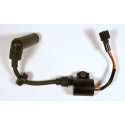 Ignition coil Yamaha F30