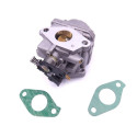 5041107 / 5040959 Carburetor Johnson Evinrude 4 and 6HP 4-Stroke