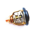 Thermostat Yamaha F150-2