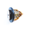 Thermostat Yamaha F200-5