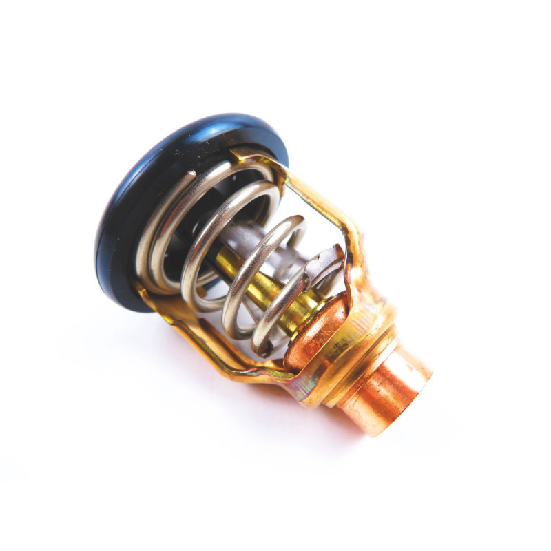 Thermostat Yamaha F200-6