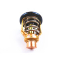 Thermostat Yamaha F200-7