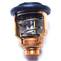 Thermostat Suzuki DF70