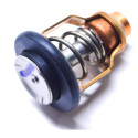 Thermostat Suzuki DF100