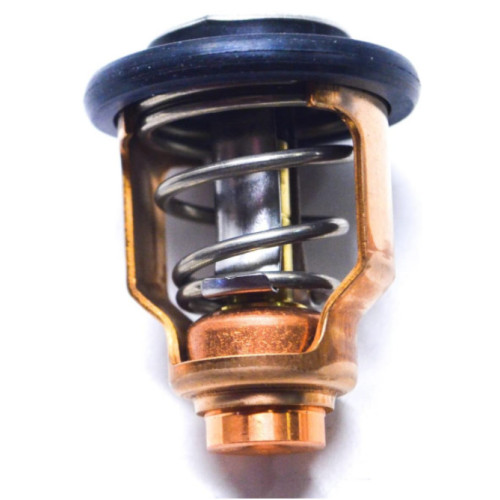 Thermostat Suzuki DF175