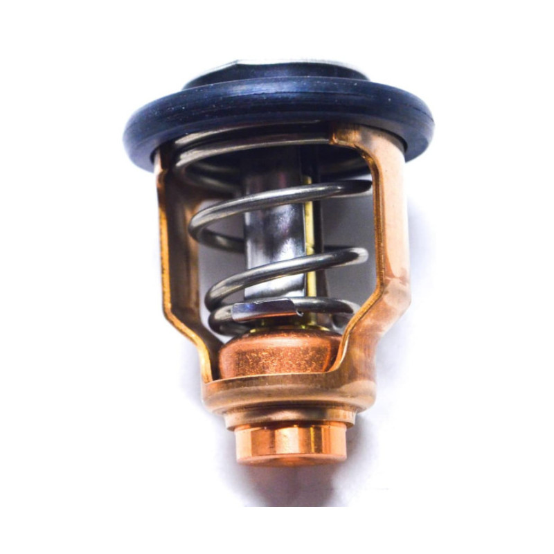 Thermostat Mercury 90HP