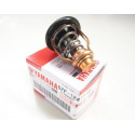 Yamaha F75 Thermostat