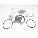 Kit carburetor Yamaha 40CV 2T