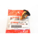 Maintenance Kit Yamaha F100F