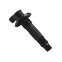 Ignition coil Seadoo RXT