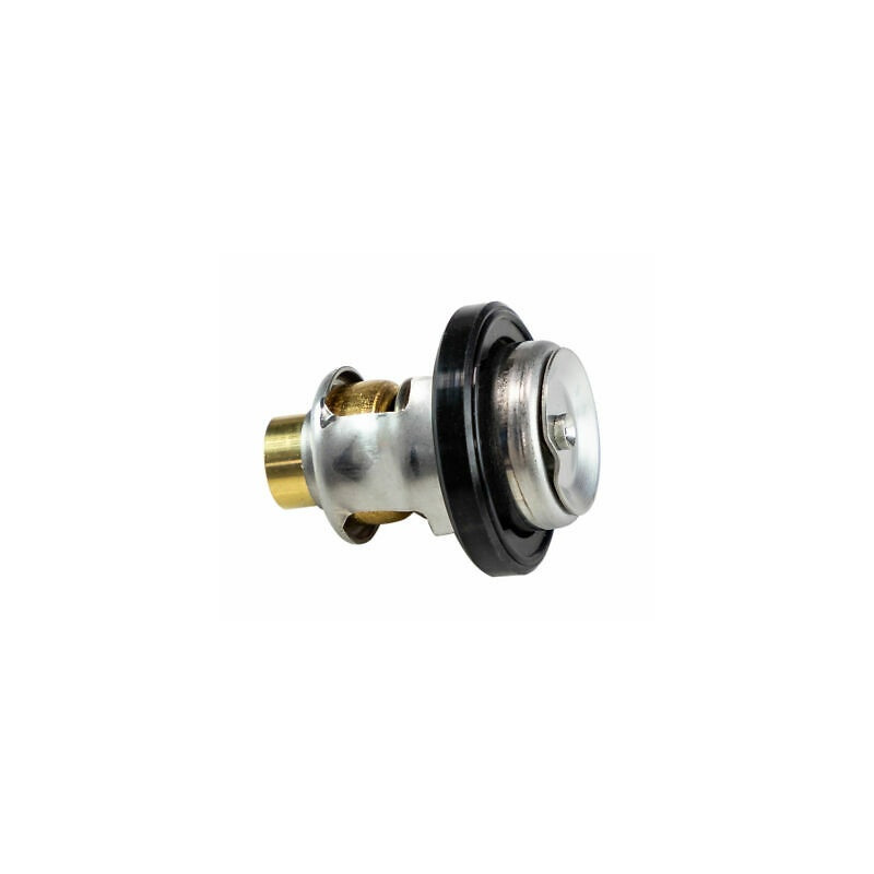 Thermostat Suzuki 20CV 2-Stroke