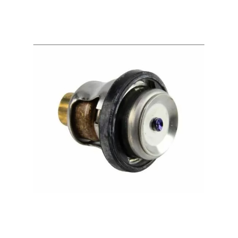 Thermostat Suzuki 40CV 4-Stroke